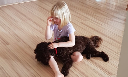 Dear Sensory Super Heroes... Can a Lap Blanket Help with Meltdowns, Meals & School Focus?