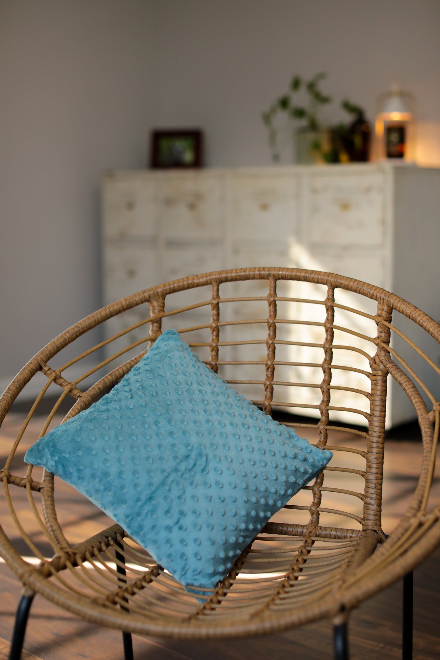 Vibration Cushion Combo with Plush Cover