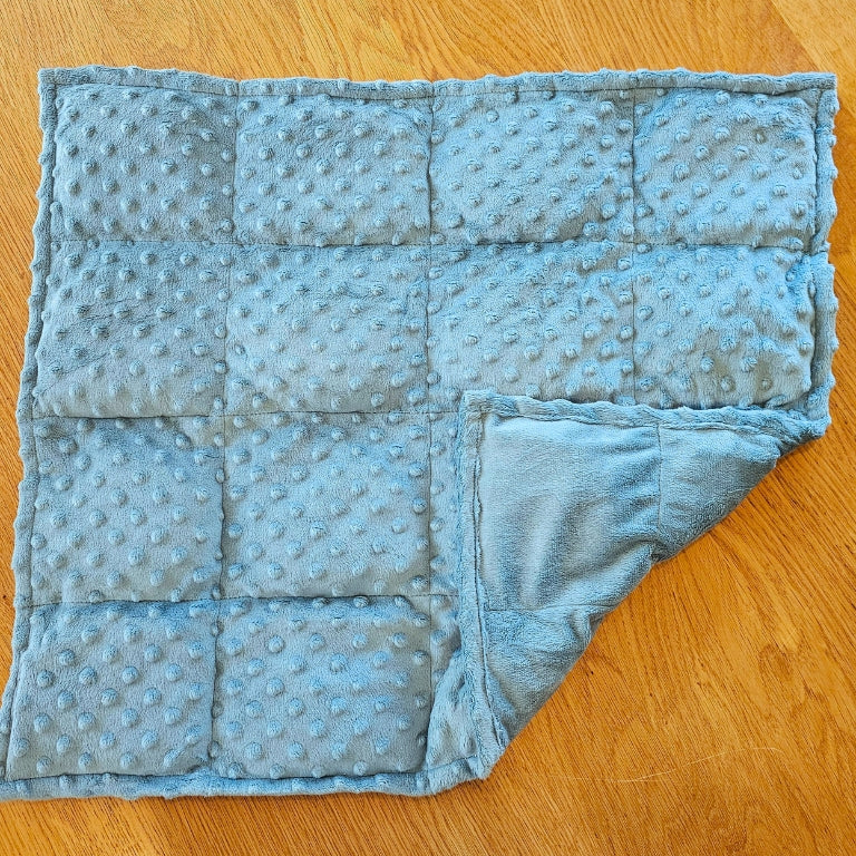 Weighted Sensory Lap Blanket - premium with carry bag