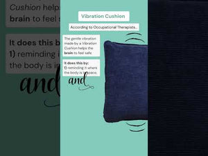 Vibration Cushion Combo with Plush Cover